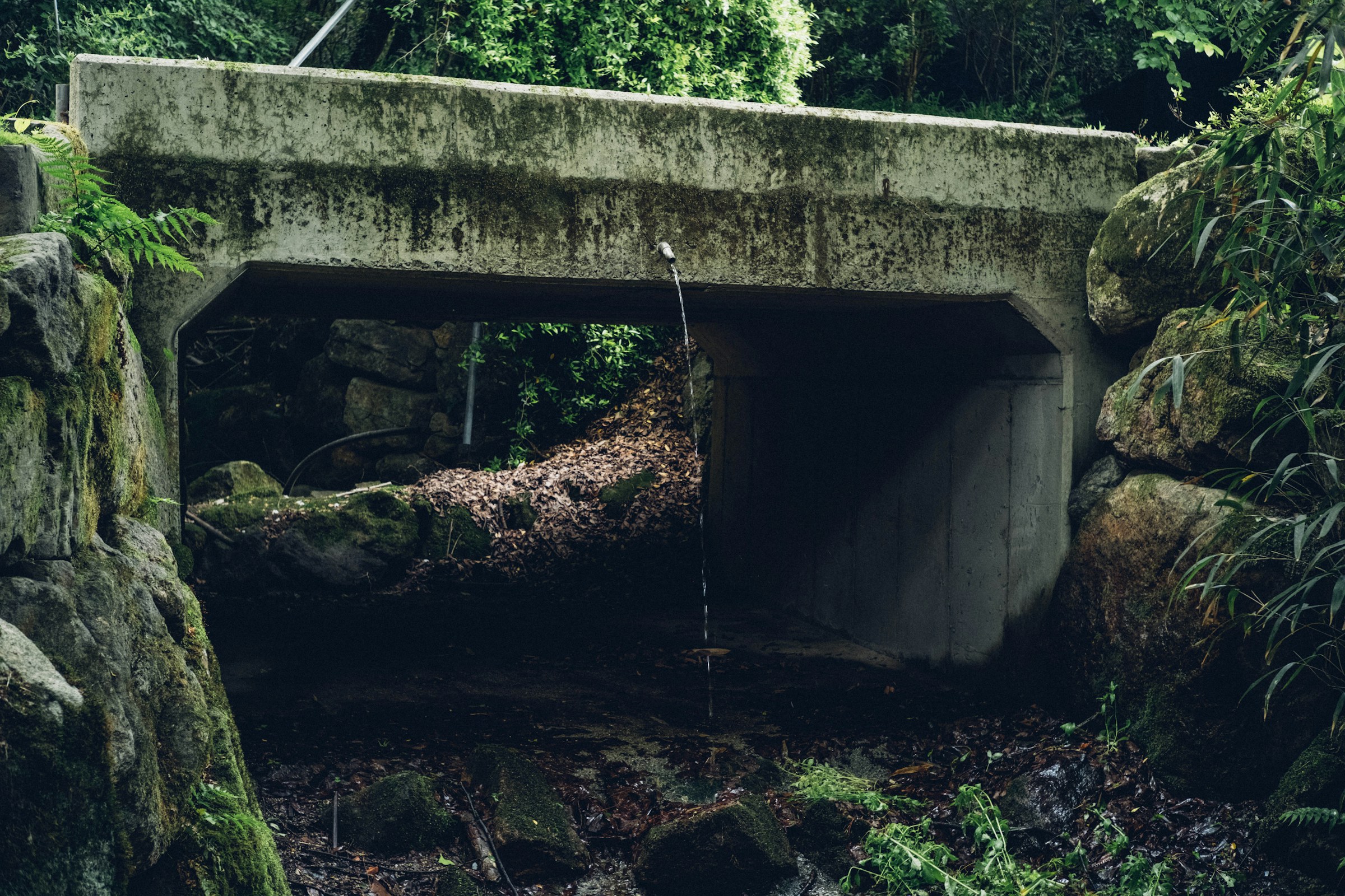 Concrete culvert carrying a creek through bushland
